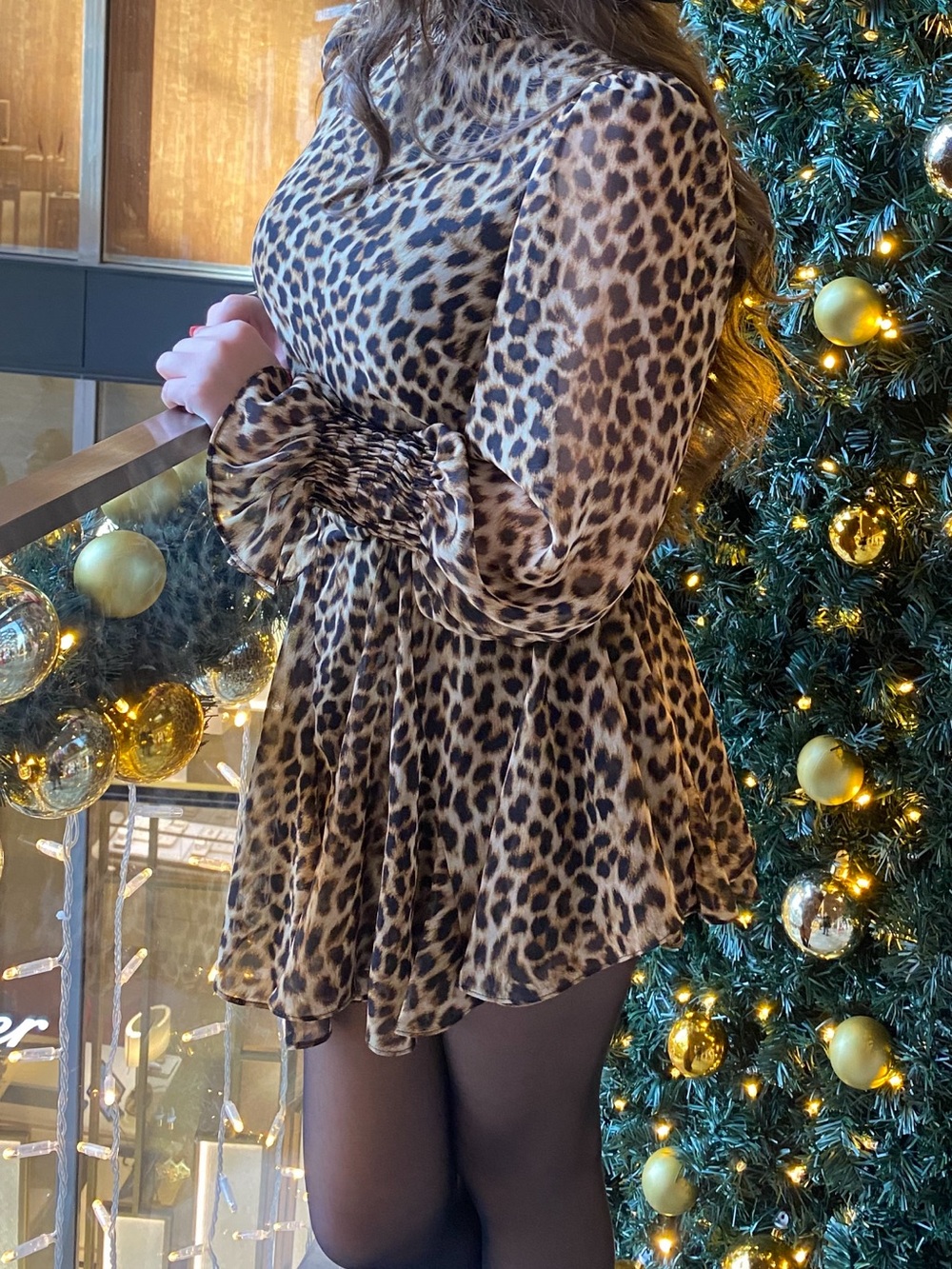 ZARA Leopard Print Long Sleeve Belted Dress